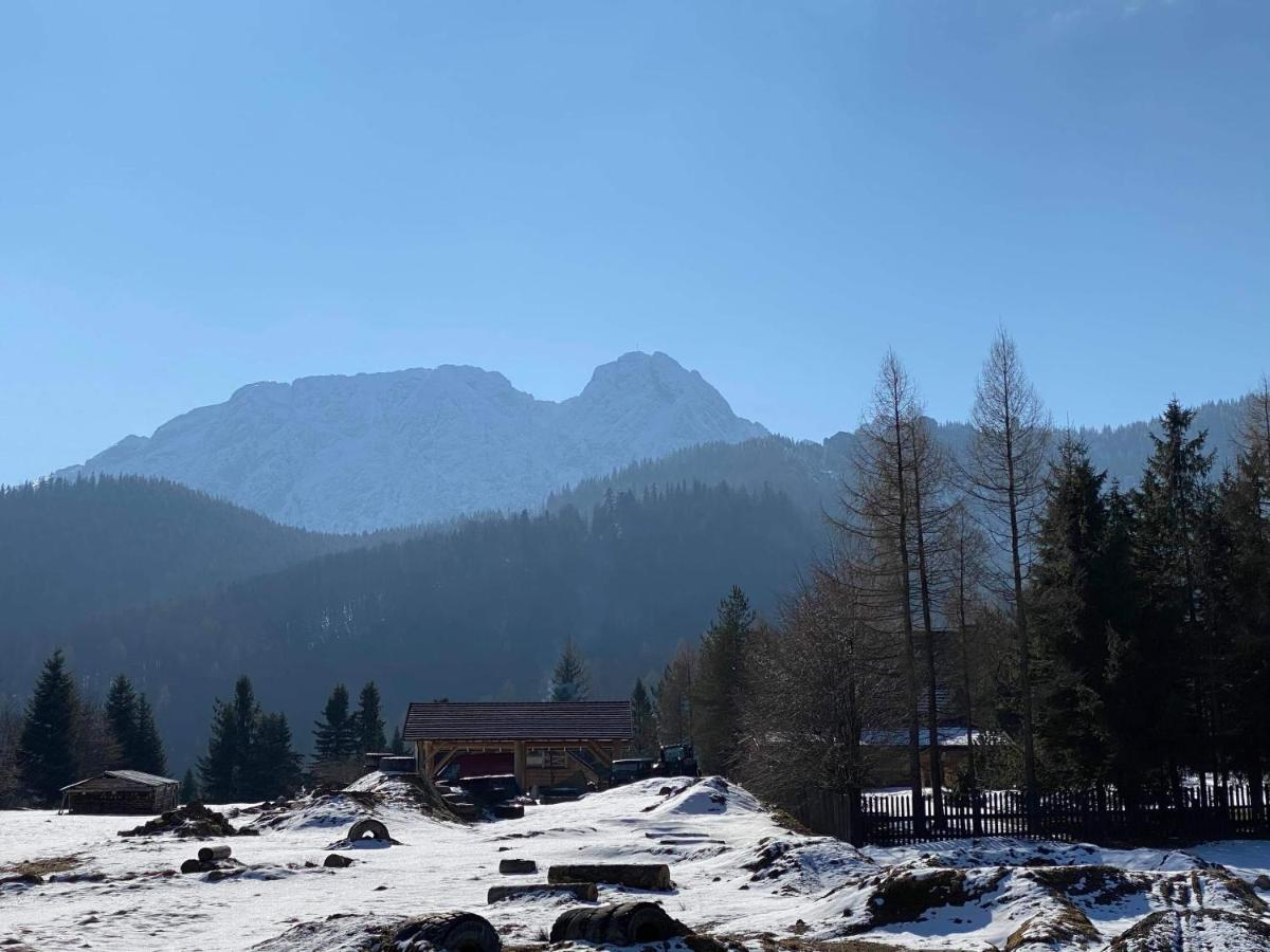 Viva Maria -Sky Moszczak Apartments&Spa Zakopane Esterno foto